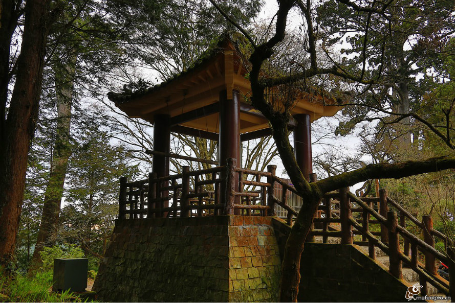 奋起湖风景区