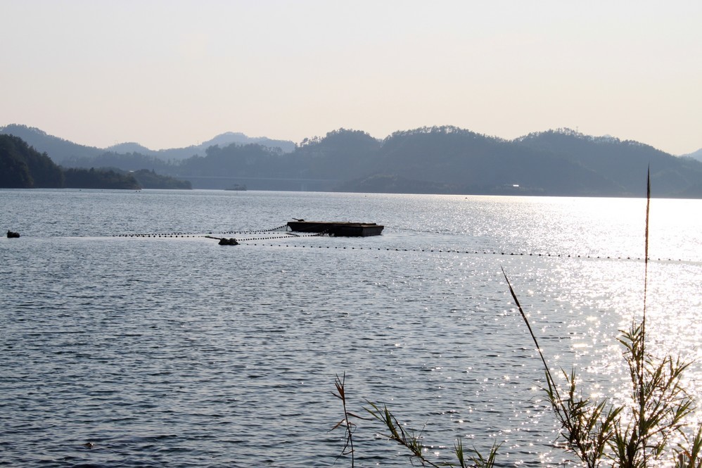 钓鱼岛