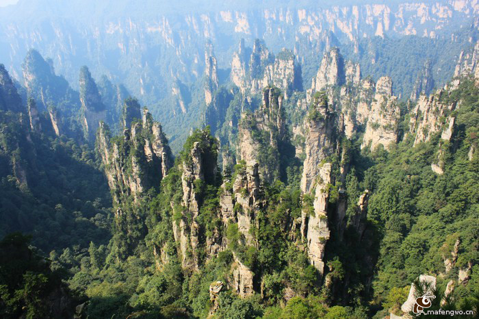 天子山自然保护区