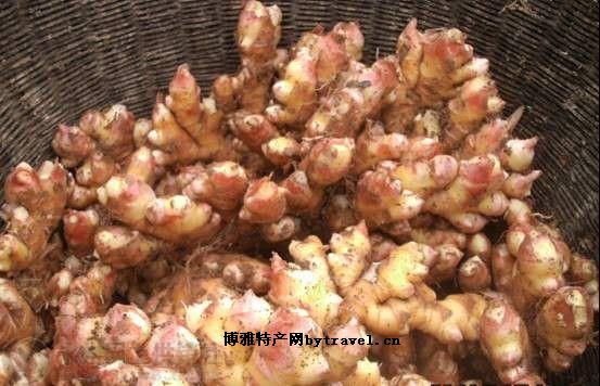 双牌虎爪姜