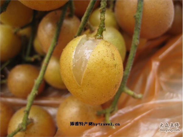 东兴黄皮果