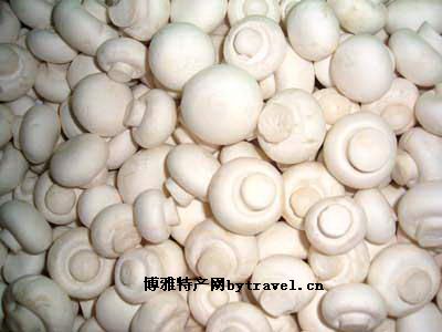 新洲双孢菇