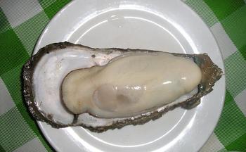 程村蚝