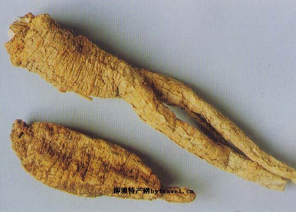 祁沙参