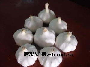 漕河大蒜