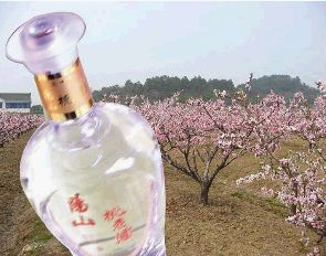 莘县屠苏酒