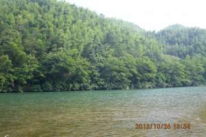 广东组团去莽山旅游|湖南莽山高铁三天纯玩线路