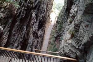 重庆直飞大美黄山、婺源春色、水墨徽州5日游_婺源_屯溪老街